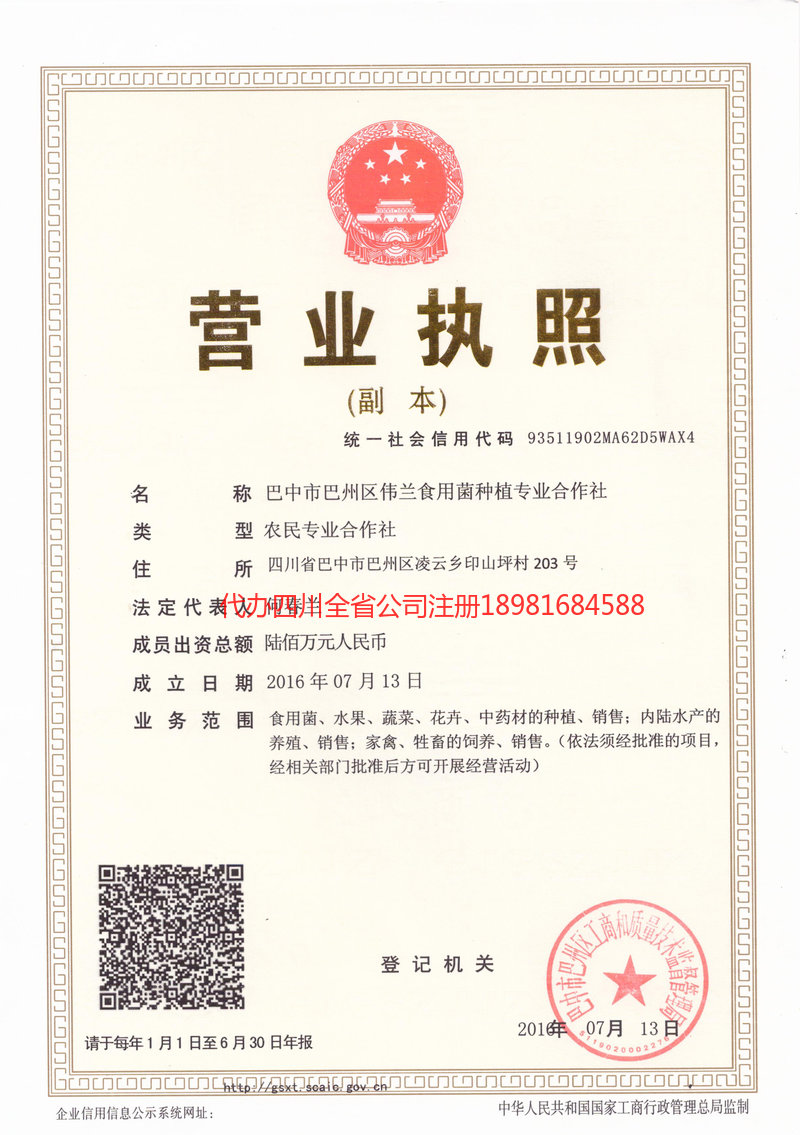 大理市大理市伟兰食用菌种植专业合作社